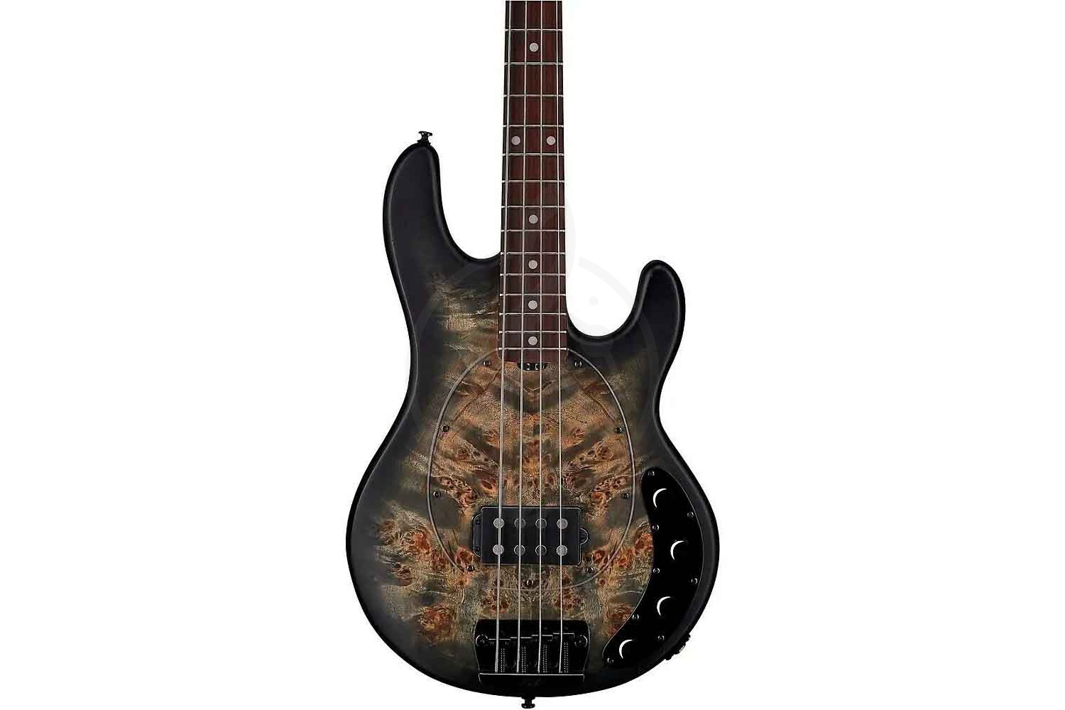 Бас-гитара STERLING StingRay Trans Black - Бас-гитара 4 струны - фото 7
