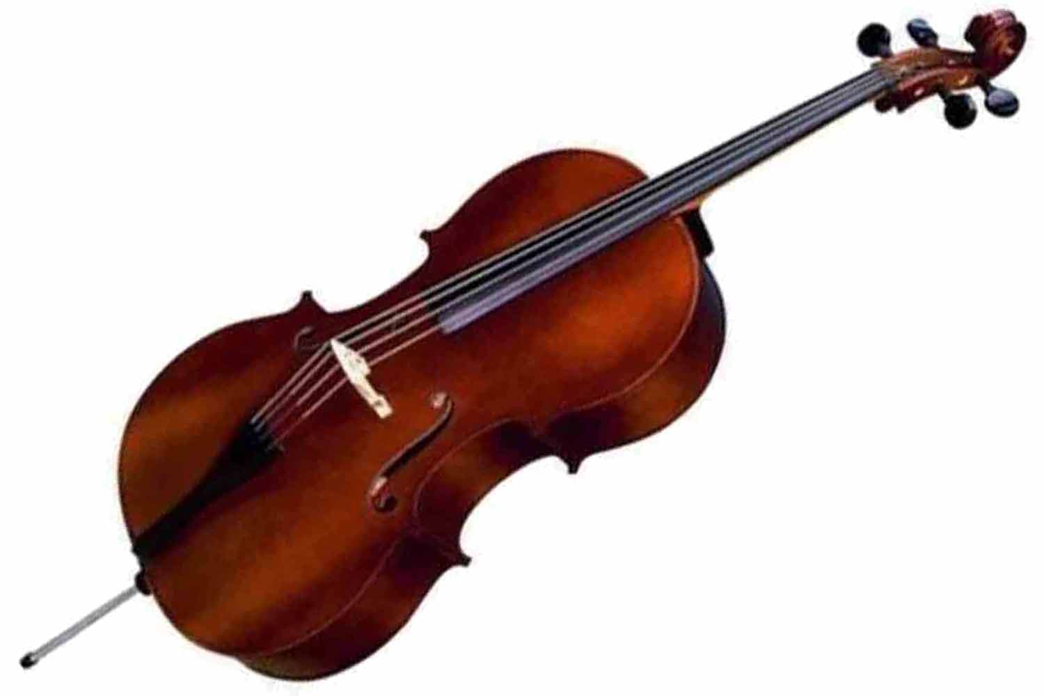 Виолончель 1/8 Strunal 40/1C-1/8 - Виолончель студенческая - фото 1