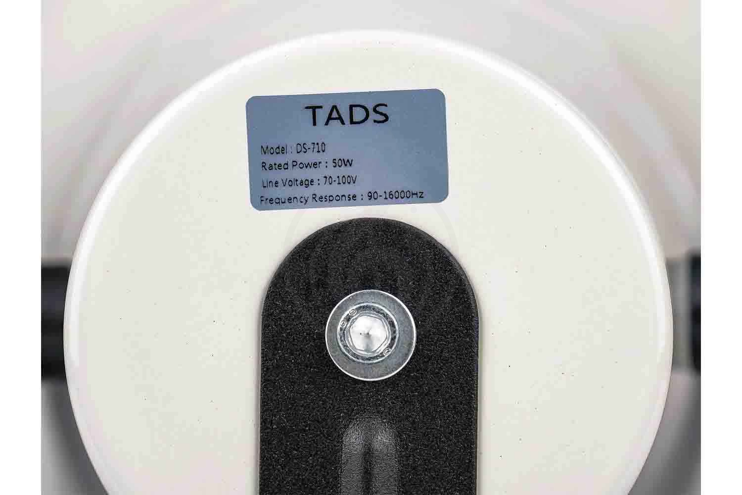 Громкоговоритель рупорный TADS DS-710 Громкоговоритель рупорный, 50Вт - фото 5