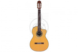 Изображение TAKAMINE TH5C