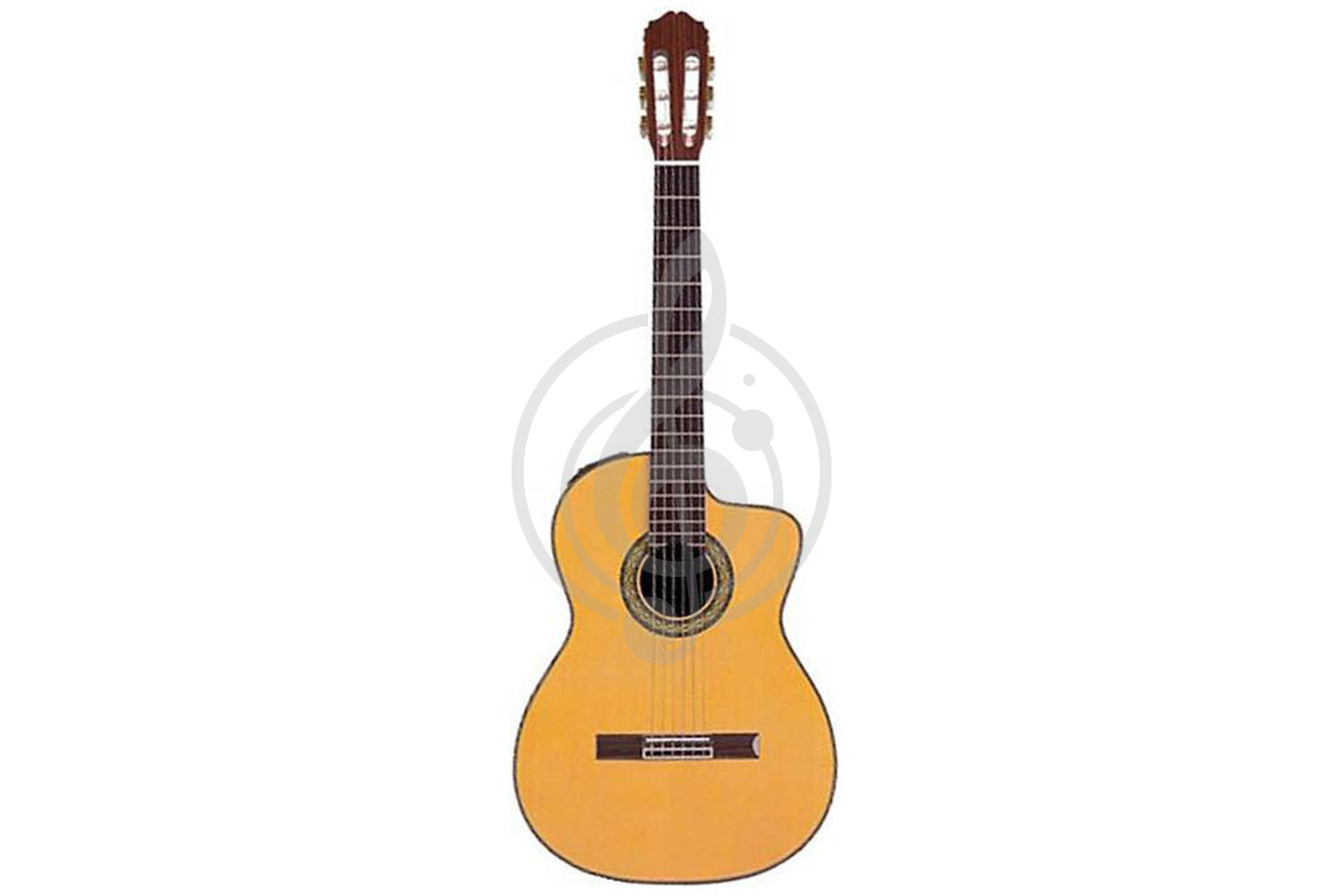 Электроакустическая гитара TAKAMINE TH5C - Электроакустическая классическая гитара - фото 1