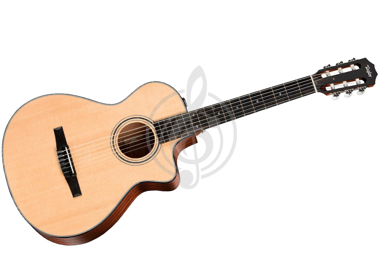 Электроакустическая гитара TAYLOR 312ce-N 300 SeriesNylon - Электроакустическая классическая гитара - фото 1