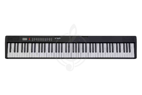 Синтезатор TERRIS TK-440 BK - Синтезатор - фото 1