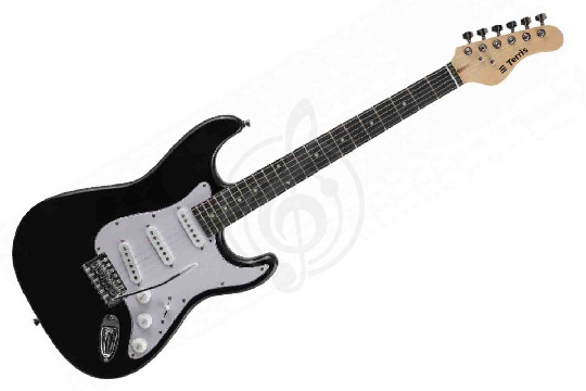 Электрогитара Stratocaster Terris TPACK-TST-040 BK - Комплект электрогитары - фото 1