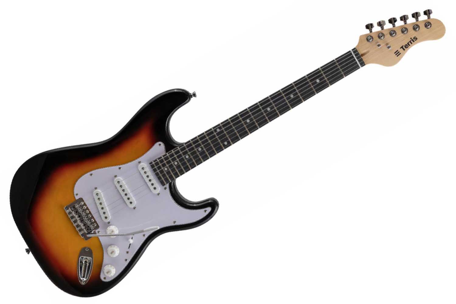 Электрогитара Stratocaster Terris TPACK-TST-040 SB - Комплект электрогитары - фото 1