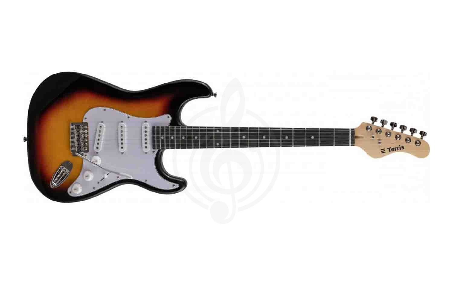 Электрогитара Stratocaster Terris TPACK-TST-040 SB - Комплект электрогитары - фото 2