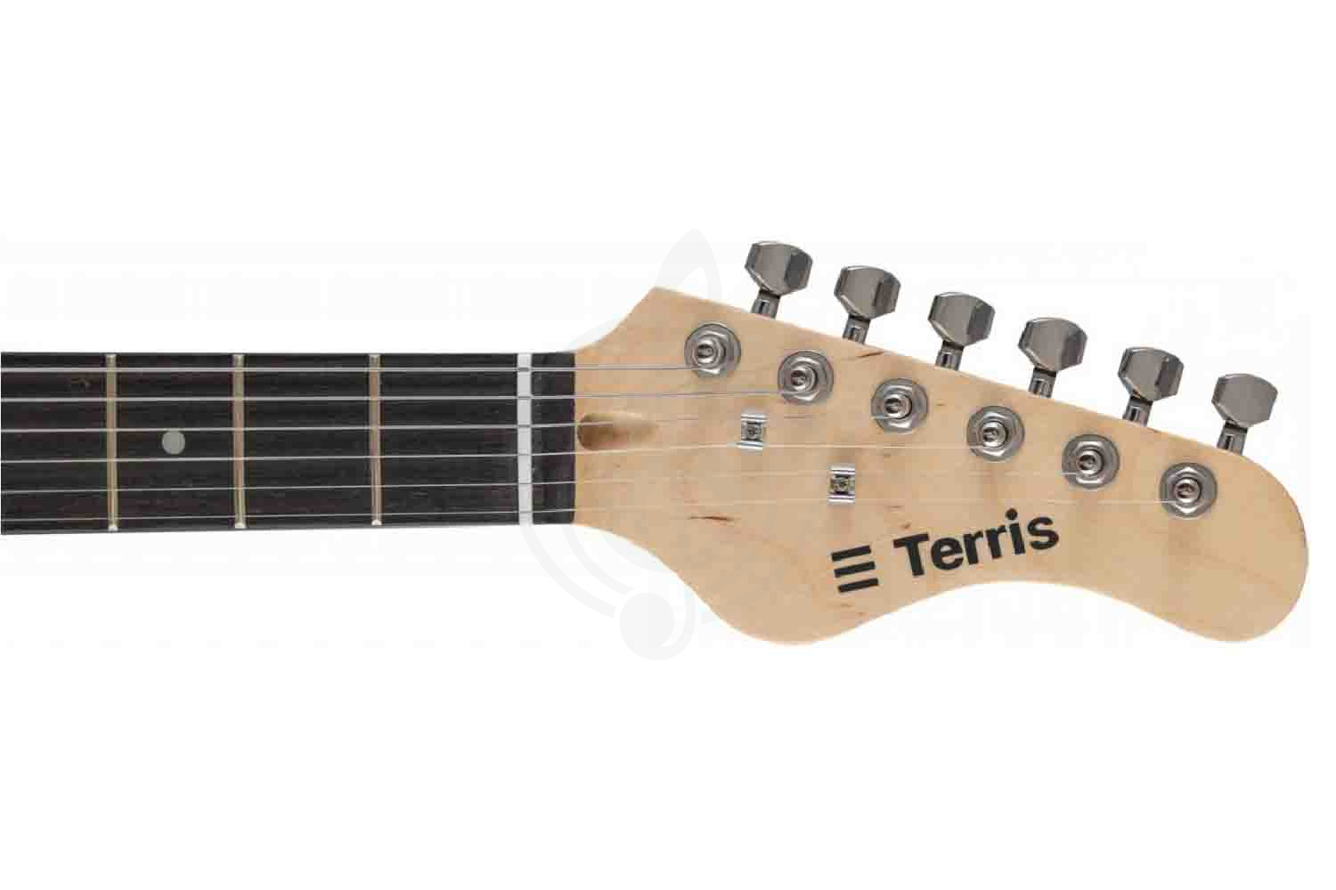 Электрогитара Stratocaster Terris TPACK-TST-045 SB - Комплект электрогитары - фото 21