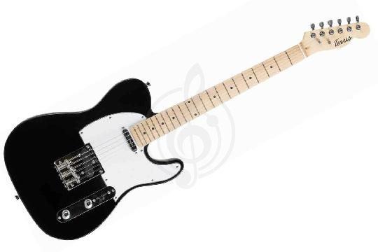 Изображение Электрогитара Telecaster Terris TTL-039 BK