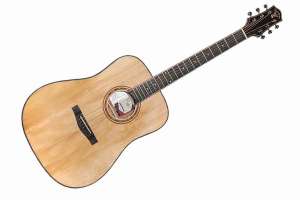 Изображение Трансакустическая гитара TIGER T-1 D-GGP NS