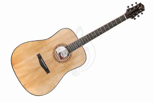 Трансакустическая гитара TIGER T-1 D-GGP NS - Трансакустическая гитара - фото 1