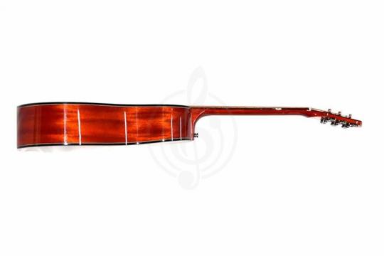 Акустическая гитара TIGER T-1 D-TBK - Акустическая гитара - фото 5