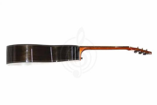 Акустическая гитара TIGER TG-30 D - Акустическая гитара - фото 6