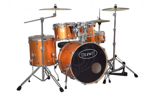  TJW JW225-E2-MYL - Барабанная установка, золотистая - фото 4