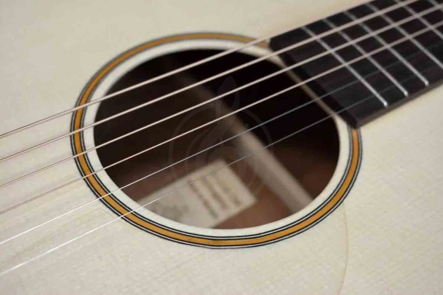 Акустическая гитара TYRONE BRONCE OM Ash - Акустическая гитара - фото 5