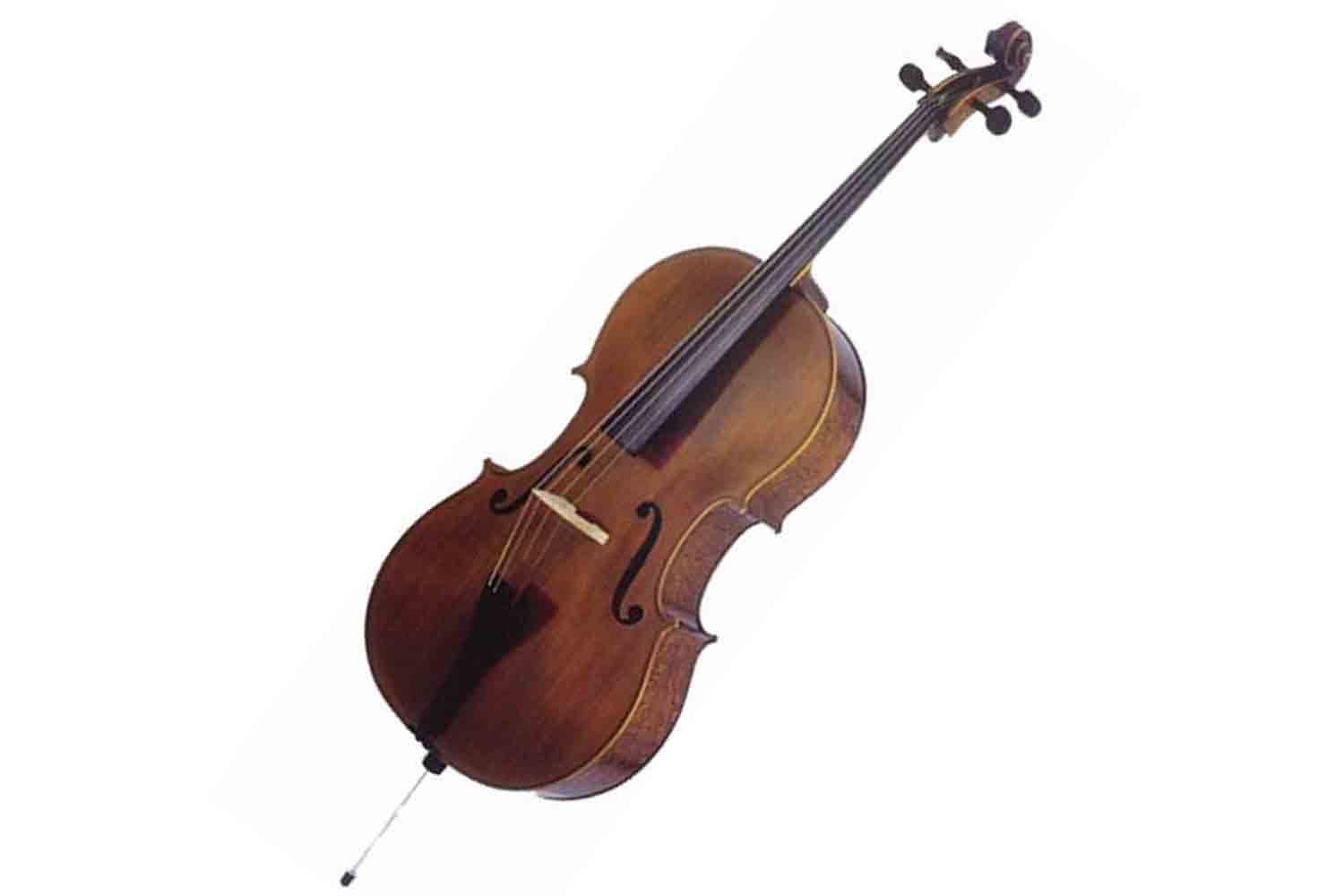 Виолончель 1/2 Виолончель CREMONA 4/3We 1/2 (Пр-во Чехия) концертная серия, верхняя дека – ель массив, нижняя дека  - фото 1