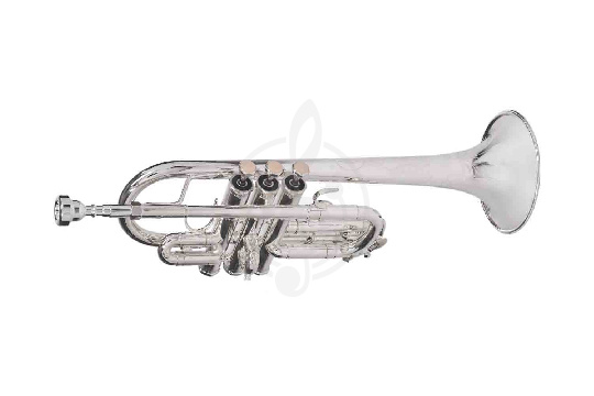 Труба VIVOTON Professional in Eb/D - Труба - фото 1