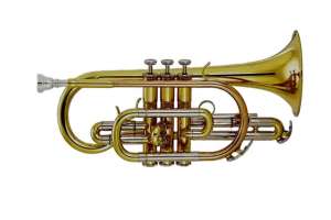 Изображение Корнет Vivoton Standart