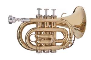 Изображение Труба Vivoton Trumpet Standart (Pocket)