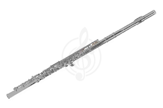Флейта сопрано VIVOTON Student 17 Х - Флейта - фото 1