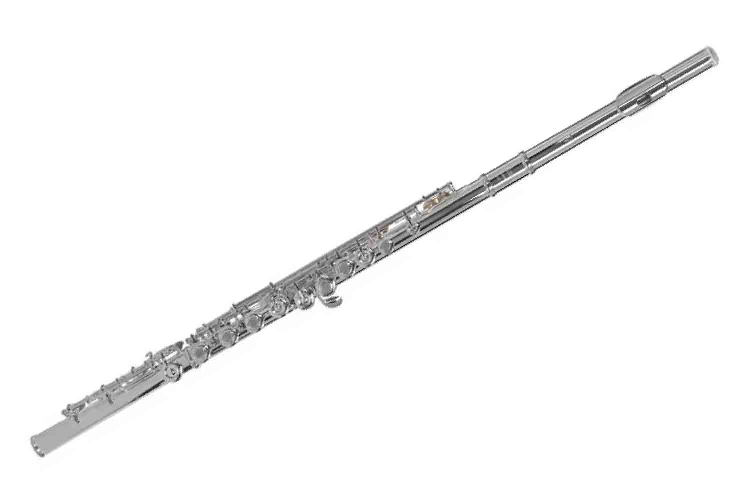 Флейта сопрано VIVOTON Student 17 Х - Флейта - фото 1