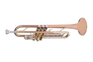 Изображение Труба Vivoton Trumpet student
