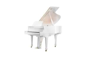 Изображение Weber W157 WHP