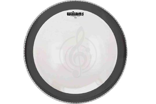 Изображение Williams W1SC-7MIL-06 Clear Silent Circle Series