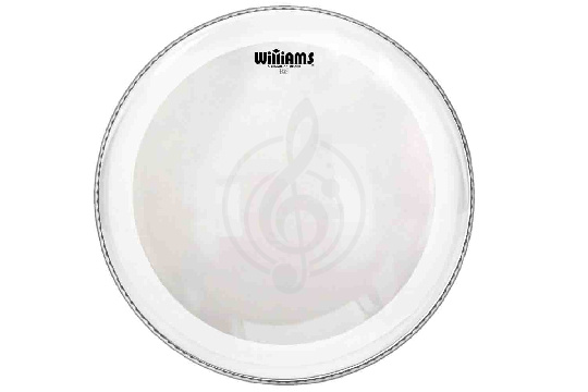 Williams W1xSC-10MIL-13 Xtreme Silent Circle Series - Пластик для том-барабана 13", прозрачный - фото 1 Пластик для томов Williams W1xSC-10MIL-13 Xtreme Silent Circle Series - Пластик для том-барабана 13", прозрачный - фото 1