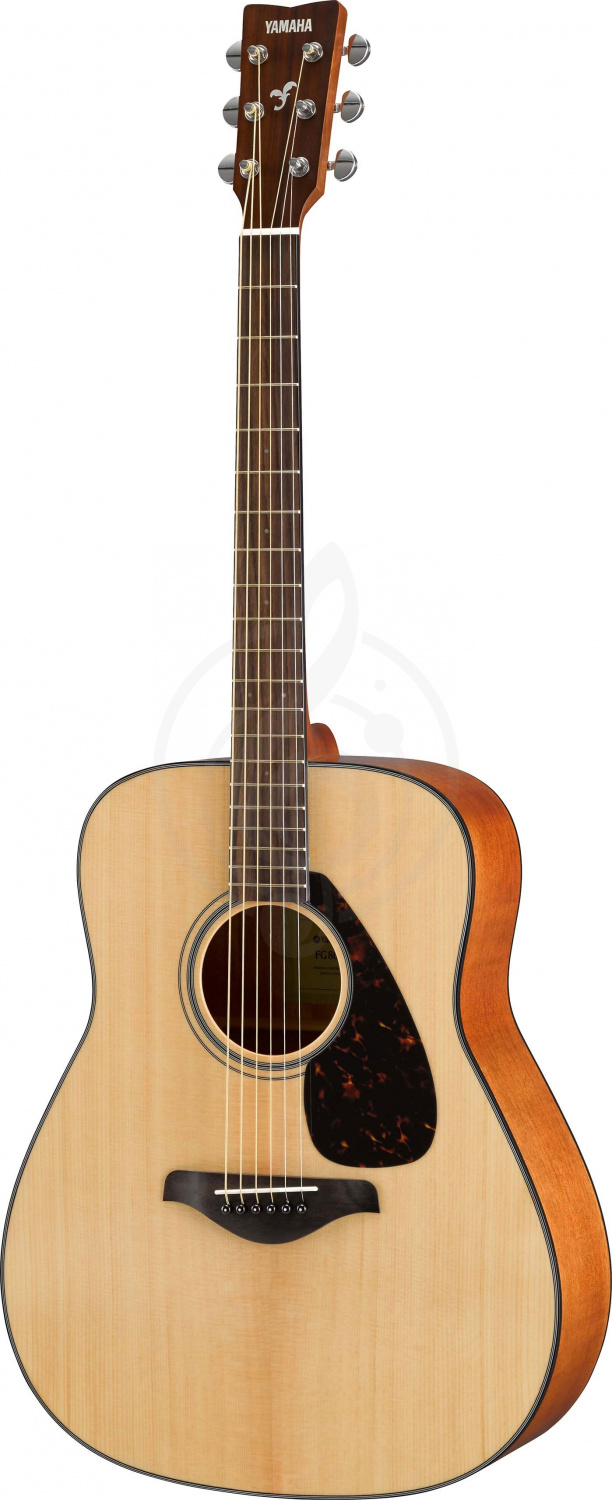 Акустическая гитара Yamaha FG800 - акустическая гитара дредноут, цвет натурал - фото 2