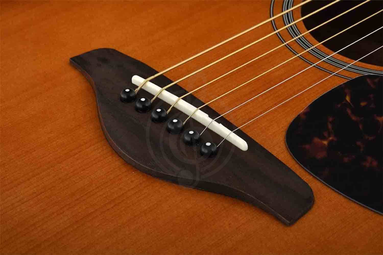 Акустическая гитара YAMAHA FG800SDB - Гитара акустическая - фото 2