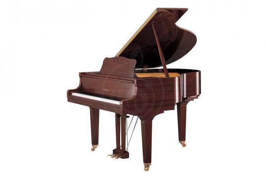 Акустический рояль Yamaha GB1K G - Рояль акустический, цвет коричневое красное дерево - фото 2