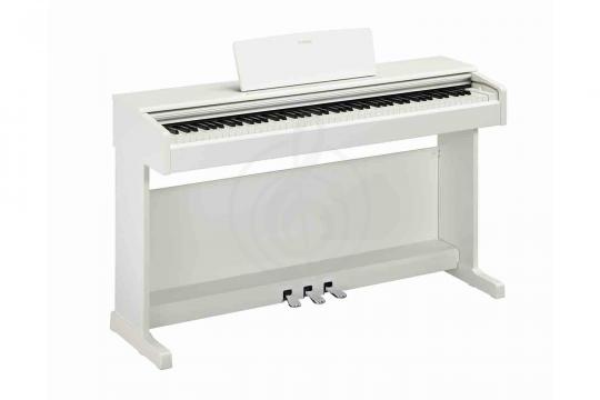 YAMAHA YDP-145WH - Цифровое пианино - фото 2 Цифровое пианино YAMAHA YDP-145WH - Цифровое пианино - фото 2