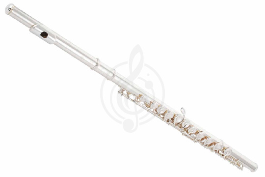 Флейта сопрано Yamaha YFL-222 - флейта - фото 1